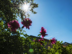 Kuvakävelyllä 2013