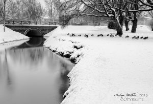 Öistä kaupunkikuvausta