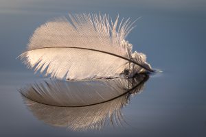 Sininen ja valkoinen