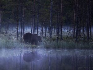 Luontokuvaus_LeenaVäinölä